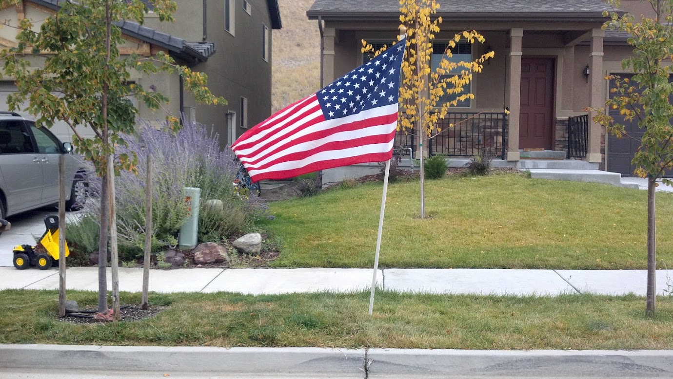 The Flag in Our Yard